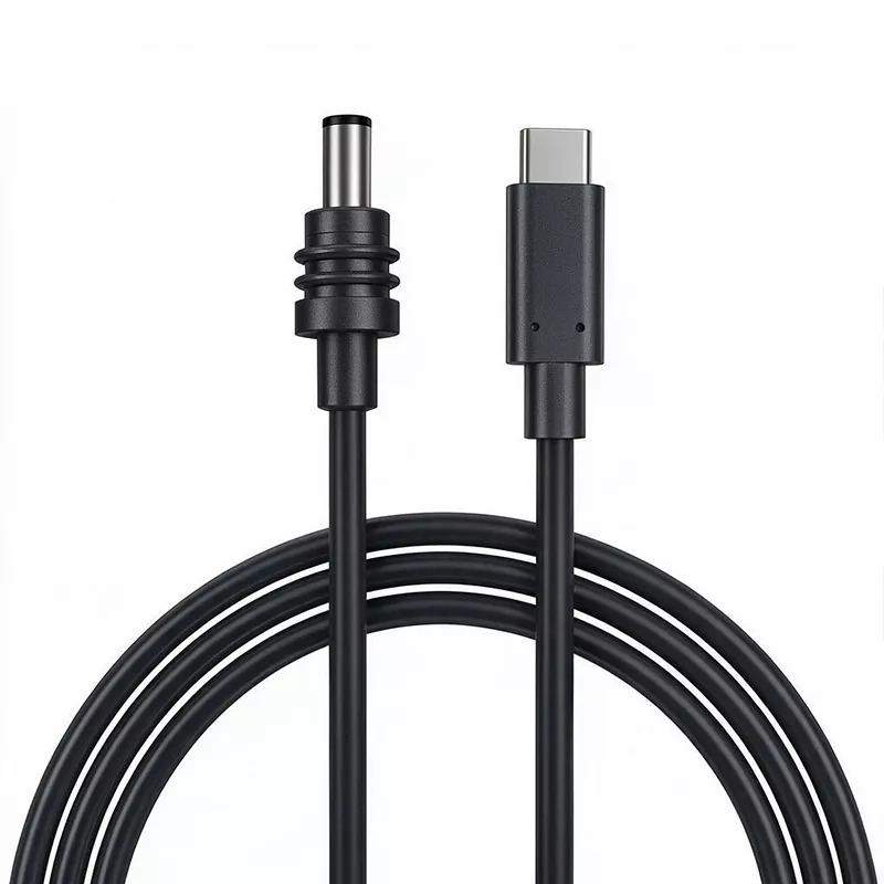 Cavo di alimentazione Starlink Mini CC a cavo USB C